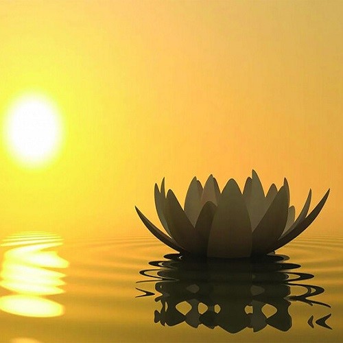 Kệ Từ Bị Sám Hối Pdf | Đọc Online | Video Audio