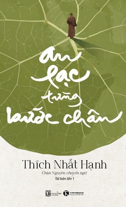 An Lạc Từng Bước Chân | Tóm Tắt